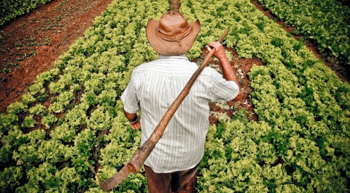 A marginalização da agricultura é resultado do atraso, não do progresso.