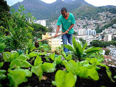 Hortas comunitárias alteram espaço público