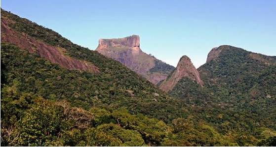 Carioca, o rio do Rio