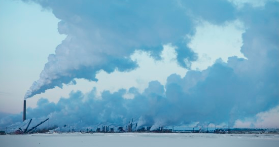 4ª Mostra Ecofalante de Cinema Ambiental exibe filmes inéditos no Brasil