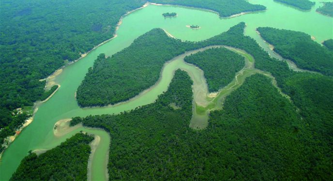 Novo Êxodo e o Meio Ambiente da Amazônia