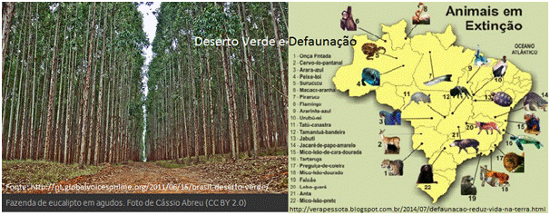 Deserto verde e Defaunação, artigo de José Eustáquio Diniz Alves