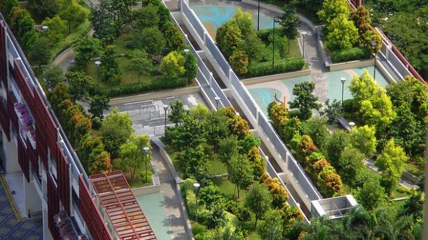 Recife aprova lei que obriga novas construções a terem telhado verde