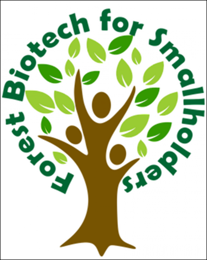 Simpósio Internacional em Biotecnologia Florestal