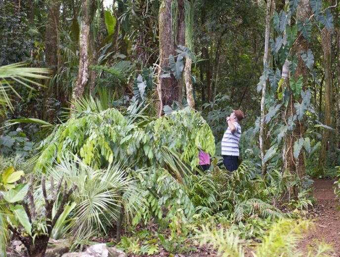 Visita temática ambiental