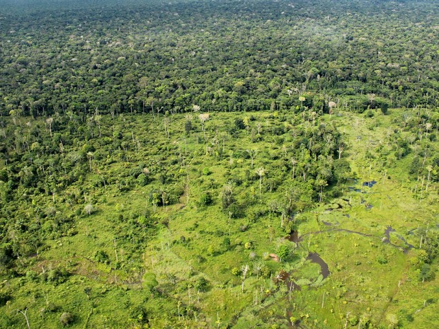 IBGE faz raio X do desenvolvimento sustentável