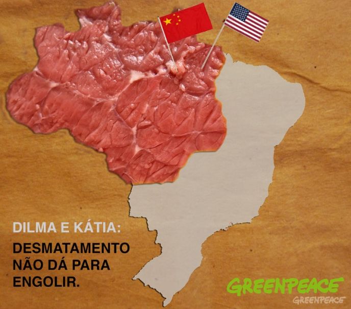 Dilma e Kátia: desmatamento não dá para engolir!