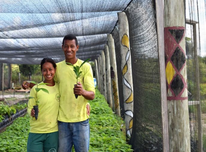 Programa restaura floresta no Sul da Bahia