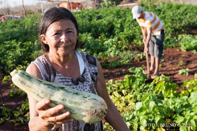 Alimentos orgânicos e seus benefícios à saúde e ao Meio Ambiente -