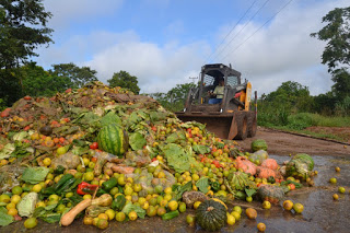 Cidades sustentáveis e a gestão de resíduos orgânicos