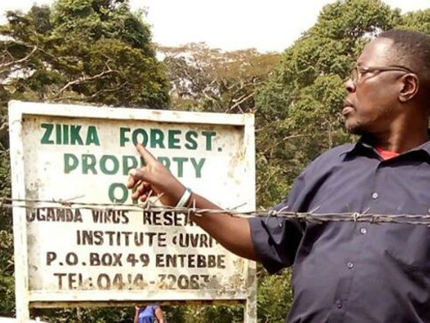 A floresta onde o zika foi descoberto