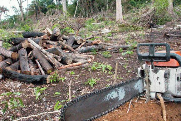 Luta contra a pobreza extrema e pela natureza