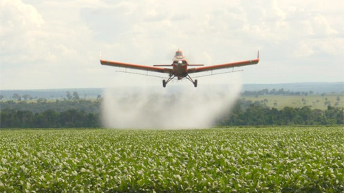 Agrotóxicos na natureza e na saúde humana