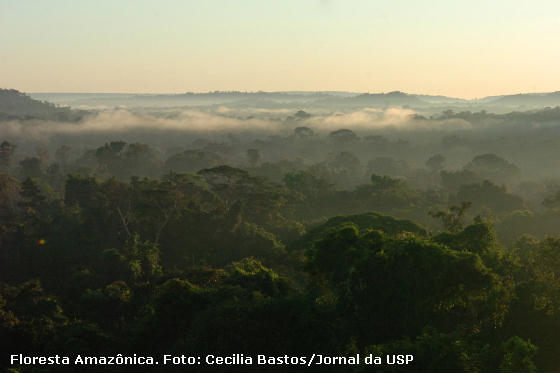 O Aquecimento Global e a Amazônia: entre desafios e o infinito