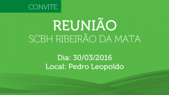 SUBCOMITÊ RIBEIRÃO DA MATA