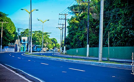 Manaus quer deixar de ser uma das cidades menos arborizadas do Brasil