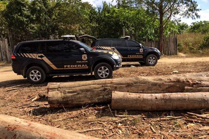 Combate extração de madeira ilegal em áreas protegidas