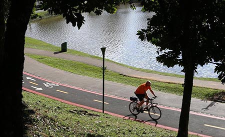 Curitiba terá ciclovias que geram energia a partir do movimento