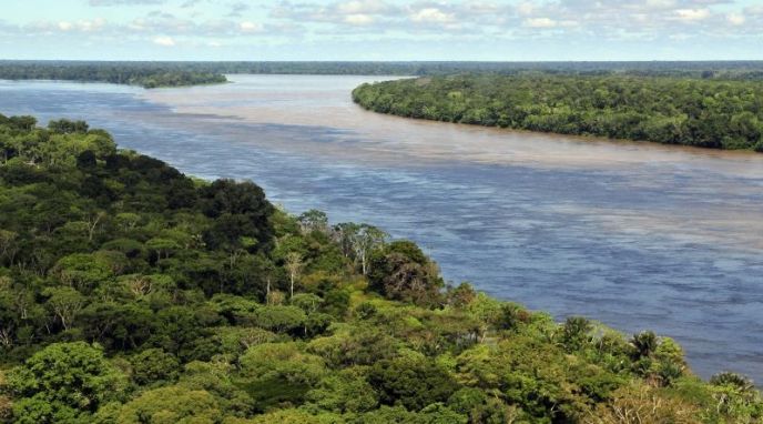 O Código Florestal e a sustentabilidade da agricultura brasileira