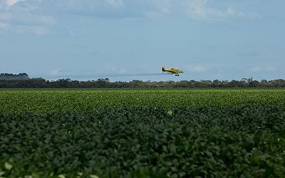 Brasil será 'paraíso dos agrotóxicos', diz pesquisador