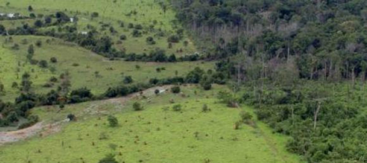 Como ruralistas e grandes corporações estão destruindo a Amazônia