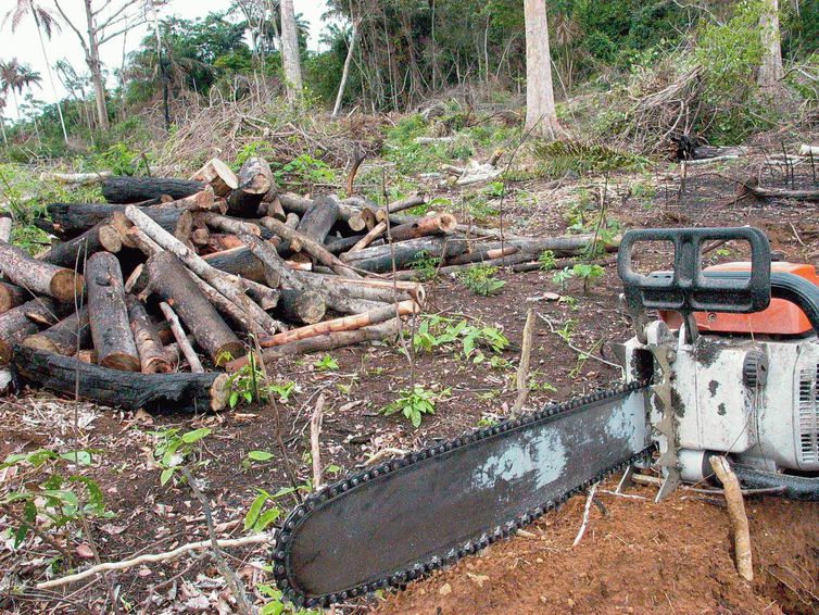 Crise econômica e modelo de desenvolvimento estão associados ao aumento do desmatamento na bacia do Xingu