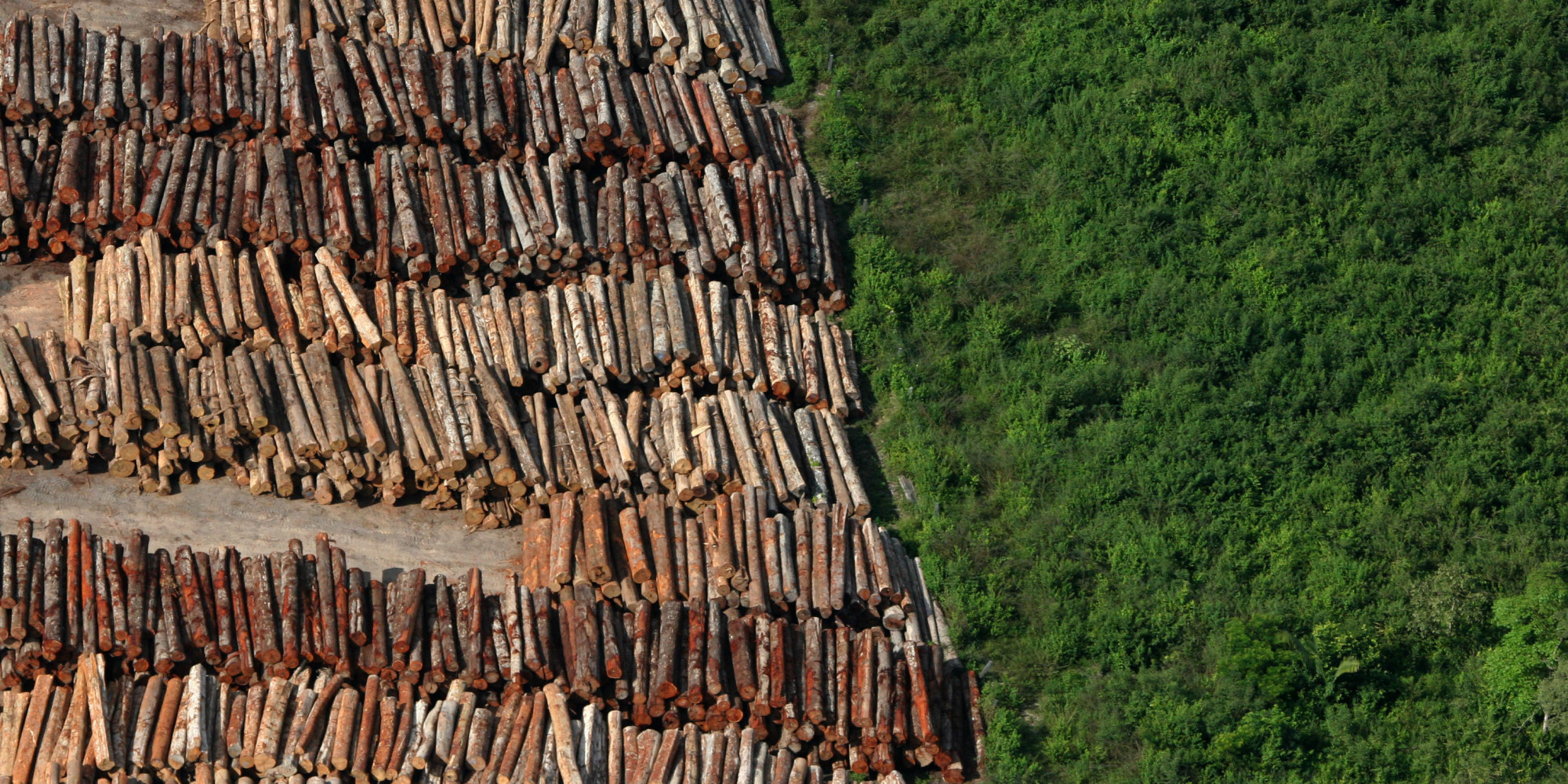 Para 27% dos brasileiros, desmatamento é maior ameaça ao meio ambiente