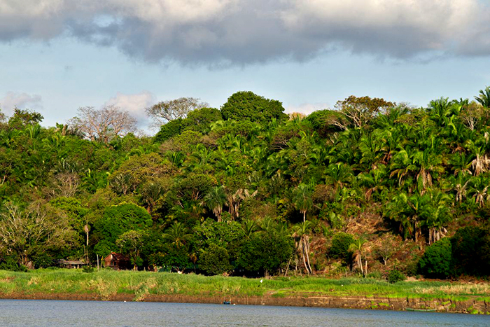 Para 27% dos brasileiros, desmatamento é maior ameaça ao meio ambiente