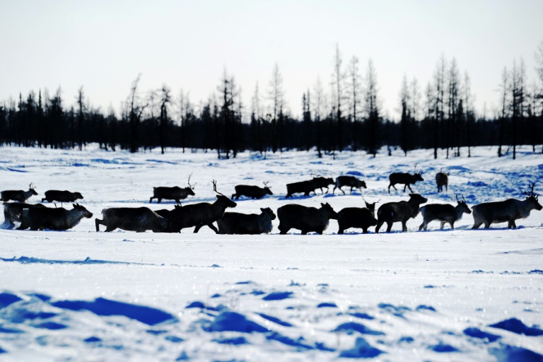 Derretimento de permafrost ameaça plano de resgate climático, diz estudo