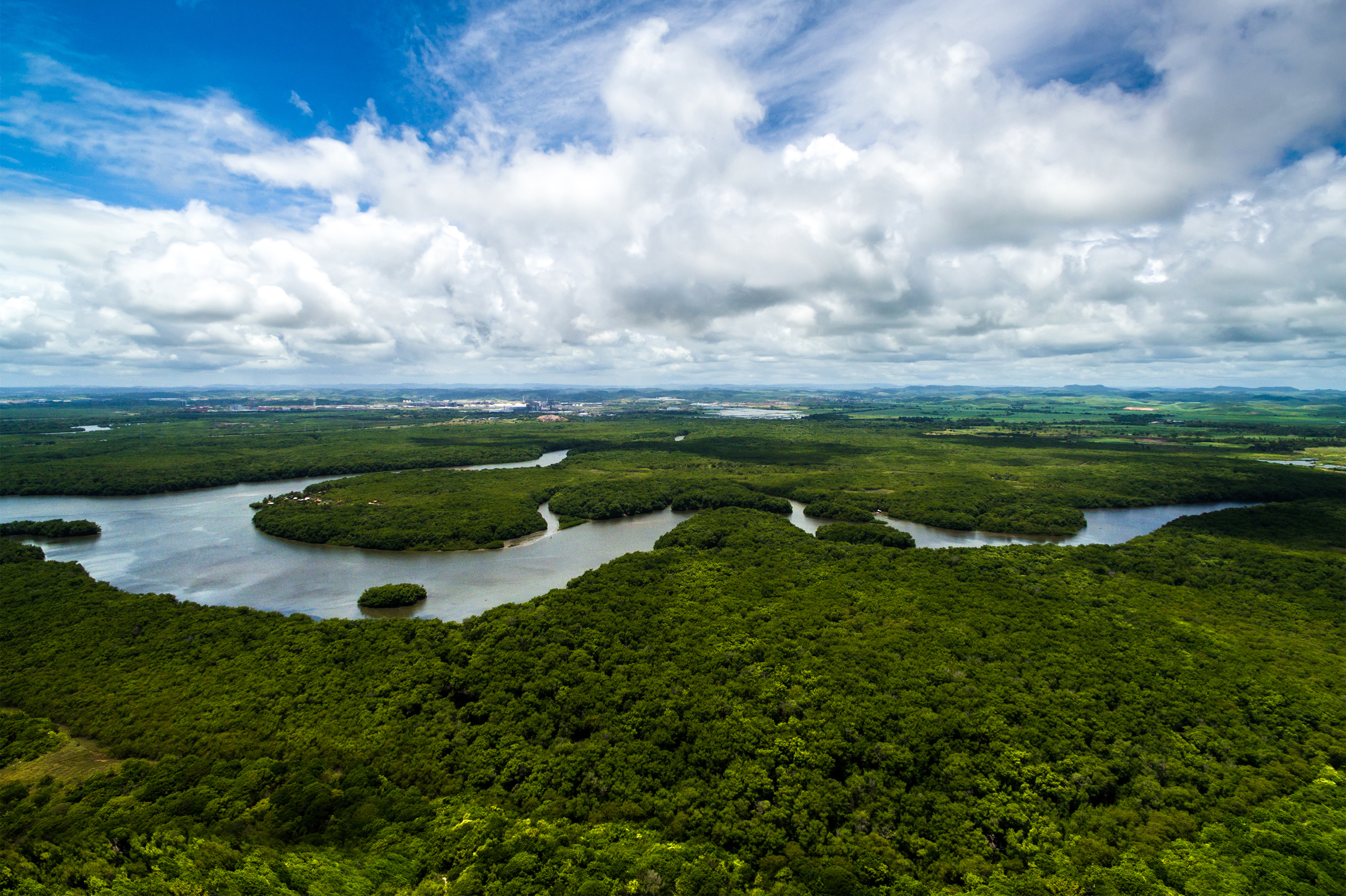 A Amazônia está se aproximando de um ponto sem retorno, mas não é tarde demais