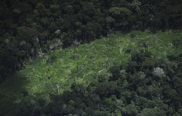 Bolsonaro quer entregar a Amazônia