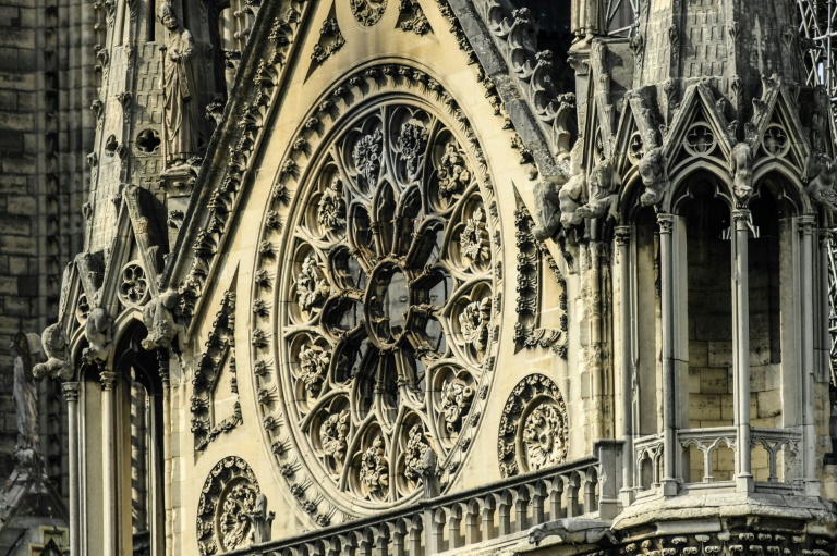 Natureza sobrevive: abelhas de Notre-Dame escaparam de incêndio