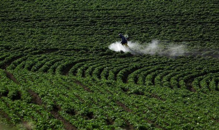 Em um ano Brasil perdeu R$ 2 bilhões com isenções a agrotóxicos
