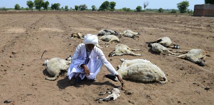 Onda de calor deixa 78 mortos na Índia
