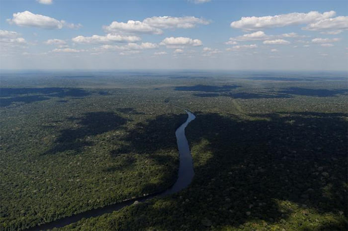 Impasse sobre Fundo Amazônia expõe política ambiental do governo