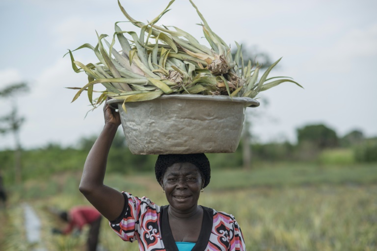 Emancipação das mulheres: uma arma para alimentar melhor o mundo
