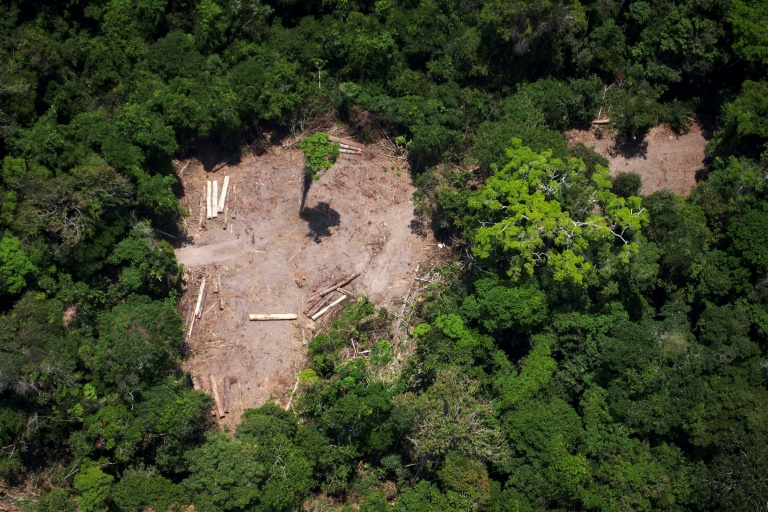 Desmatamento na Amazônia aumentou 278% em julho em comparação a 2018