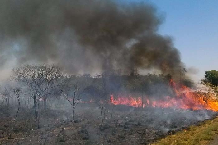 'Recorde de queimadas reflete irresponsabilidade de Bolsonaro', rebatem ONGs