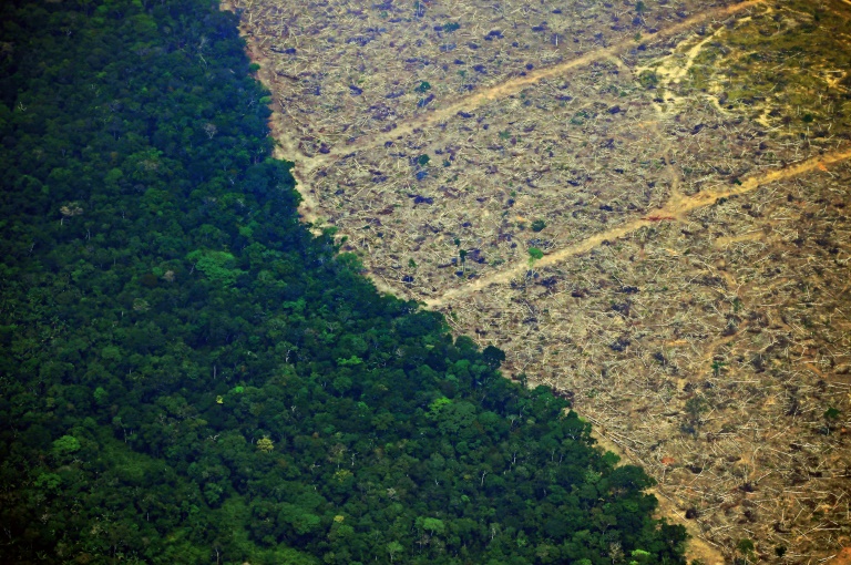Estabilidade do clima da Terra depende da Amazônia