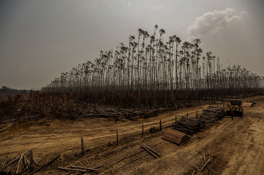 Fogo avança na Amazônia, mas Brasil rejeita ajuda do G7 para combater incêndios