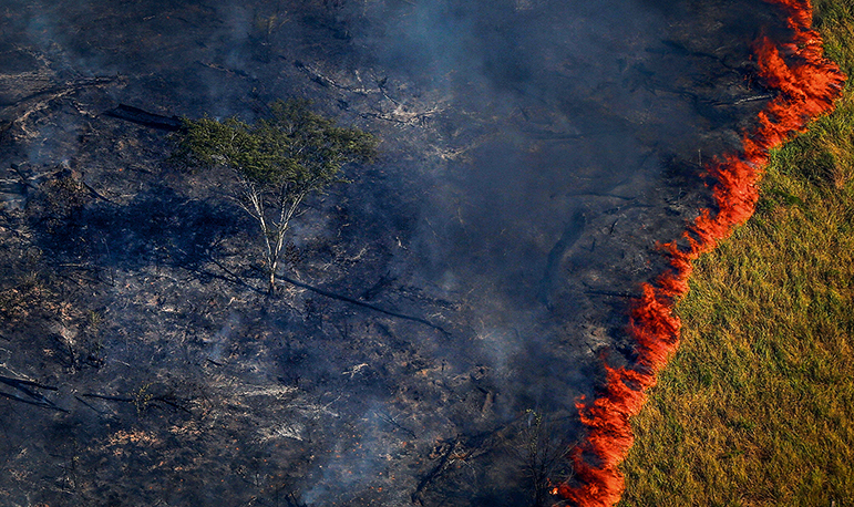 Com Amazônia em chamas, Bolsonaro enfraquece papel do Ibama