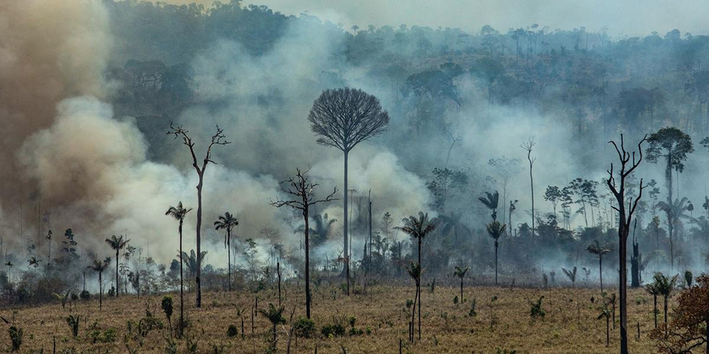 Queimadas são 'momento decisivo' para Amazônia