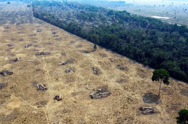 Desmatamento na Amazônia brasileira aumentou 91% entre janeiro e agosto