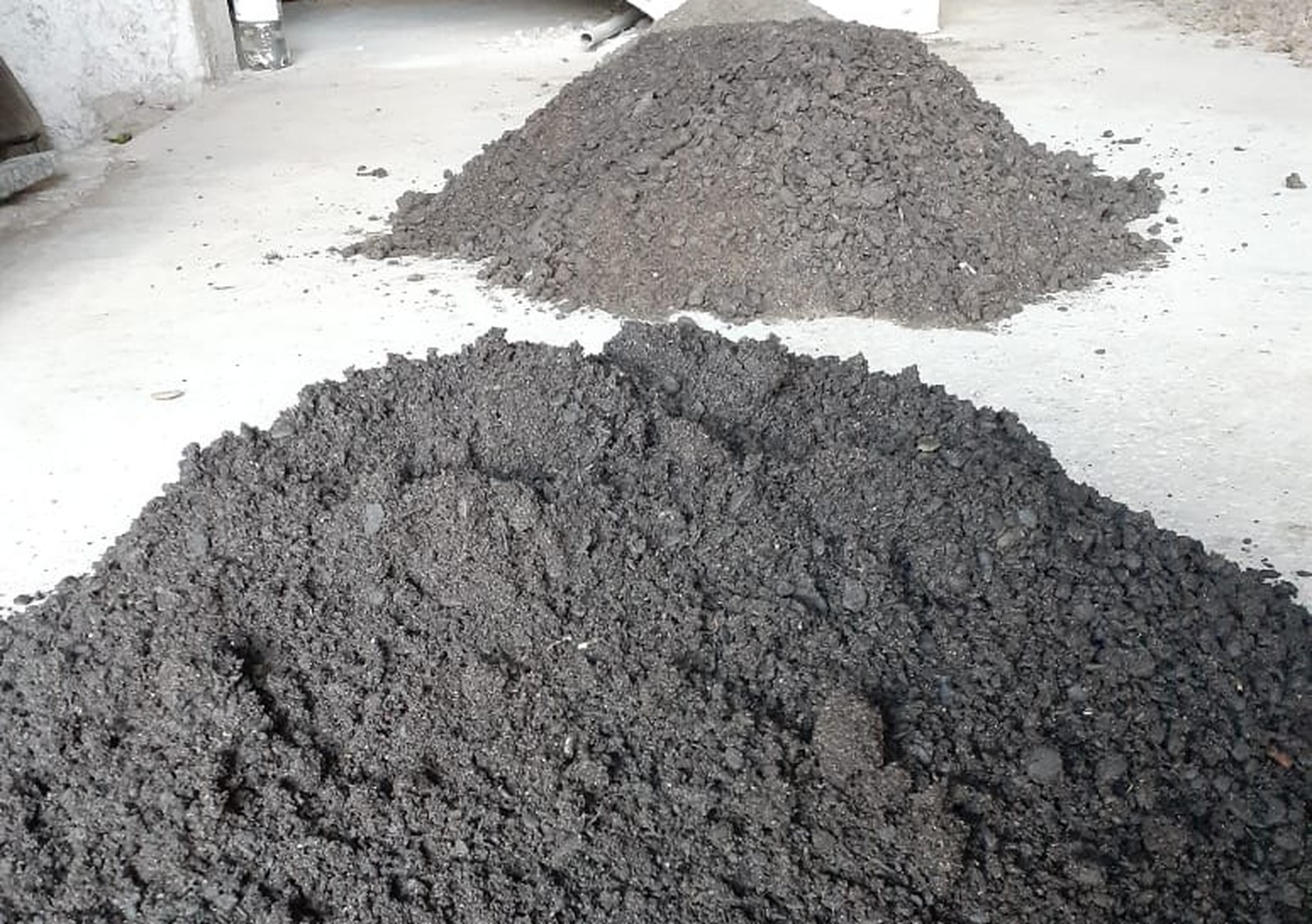 Óleo retirado das praias do Nordeste viram cimento no PE e carvão na BA