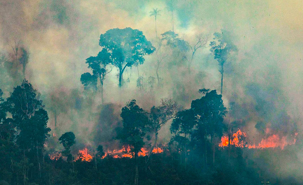 'Amazônia está à beira de um colapso', diz cientista brasileiro no Sínodo