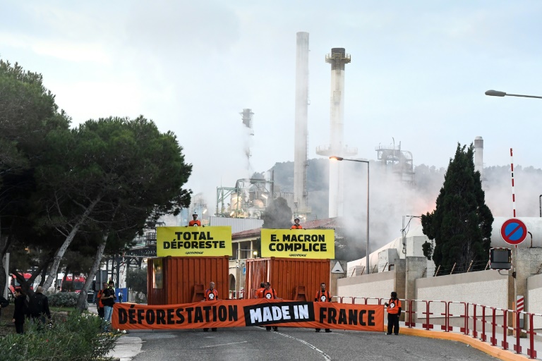 Greenpeace bloqueia refinaria da Total na França que utiliza óleo de palma