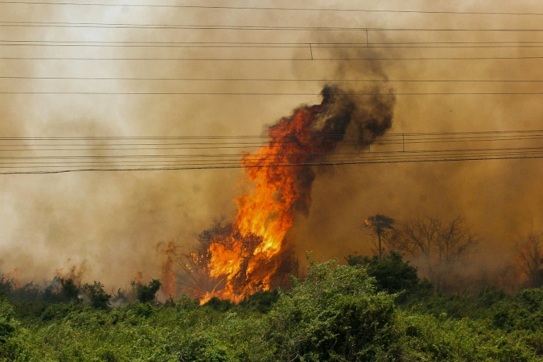 Incêndios diminuem na Amazônia e se multiplicam no Pantanal