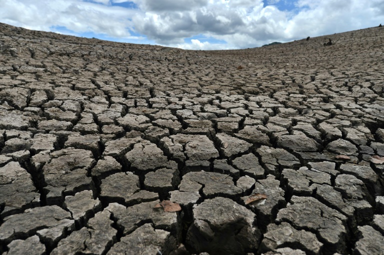 Centro-americanos e brasileiros tentam salvar agricultura das secas