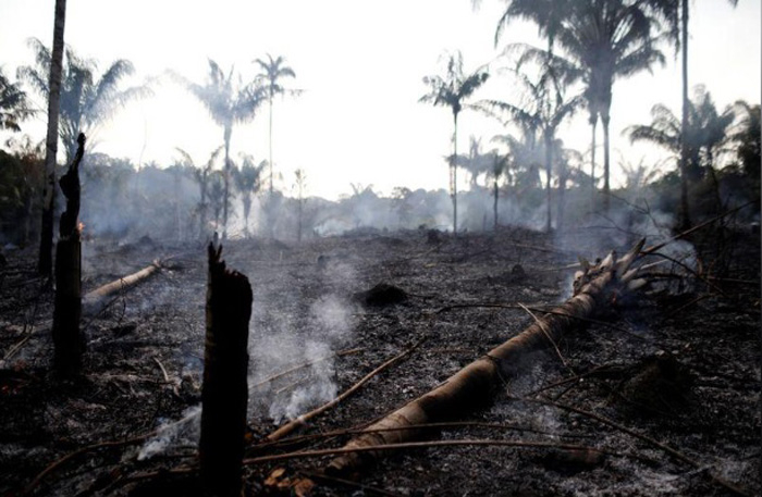 Desmatamento da Amazônia em novembro sobe mais de 100% na comparação anual